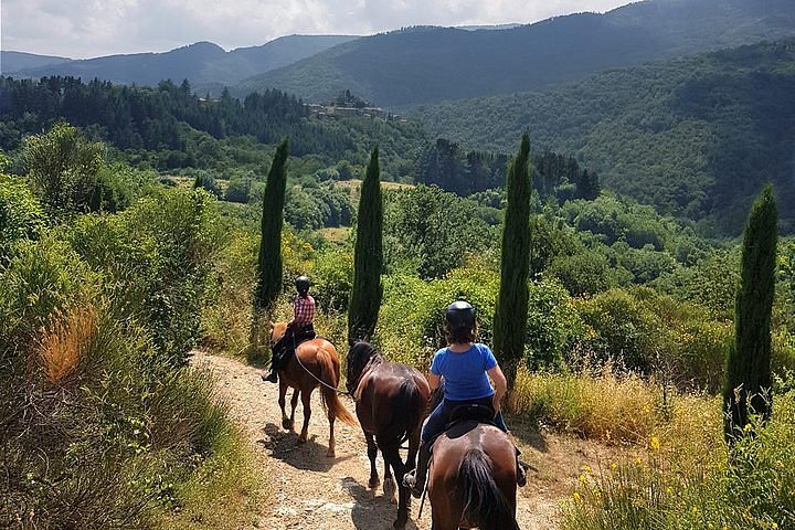 Tripadvisor Reiten In Der Toskana Für Erfahrene Reiter Ganztägige