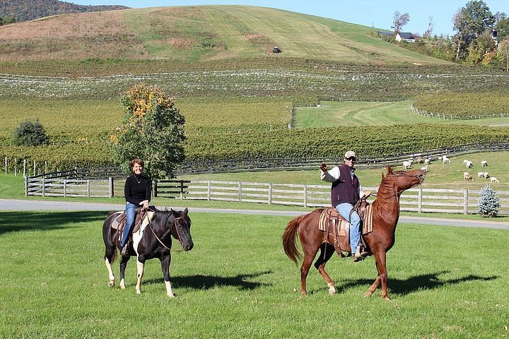 afton wine tour