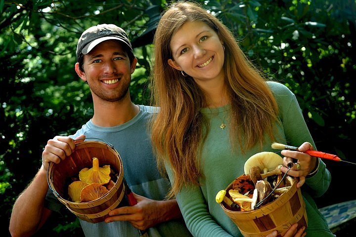 asheville nc foraging tours