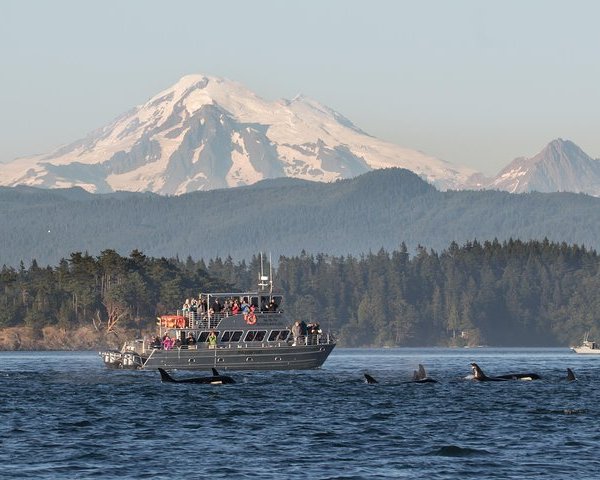 JUDD COVE PRESERVE (Orcas Island) - All You Need to Know BEFORE You Go