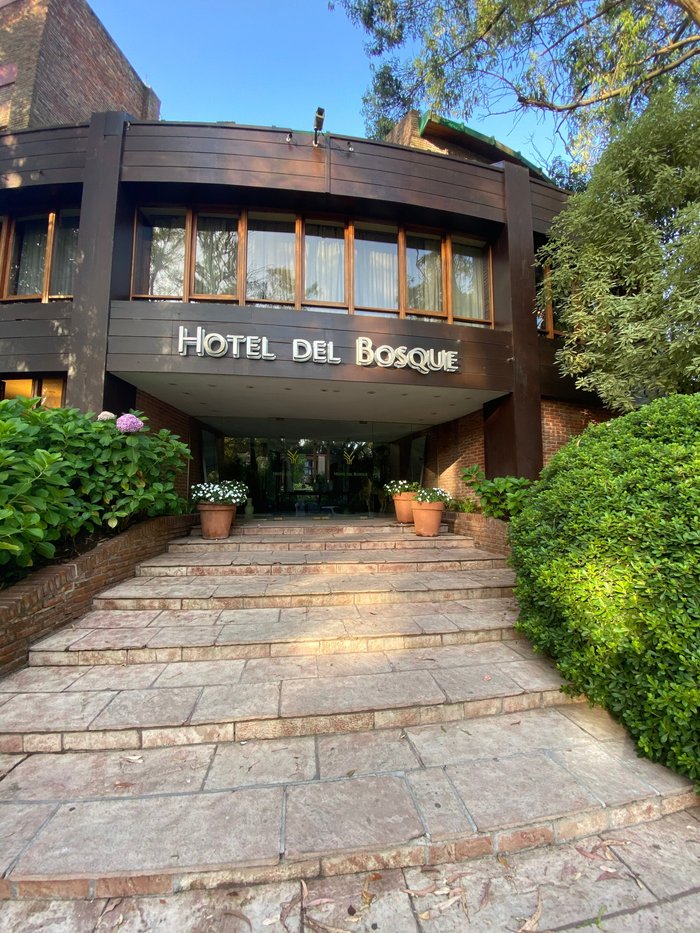 Imagen 15 de Hotel Del Bosque
