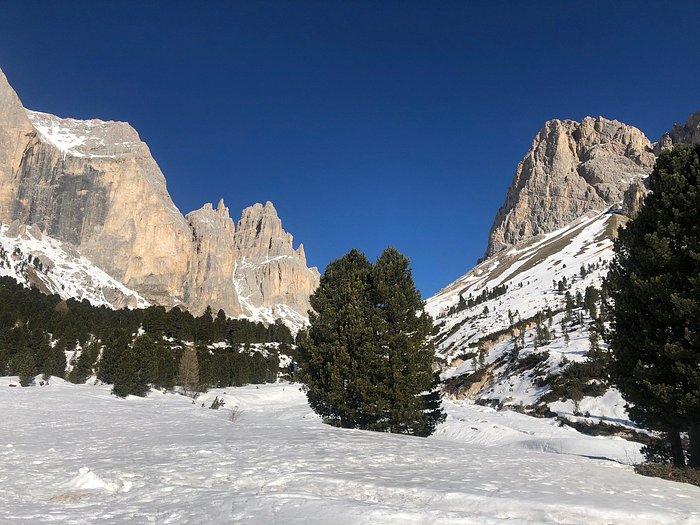 Girovagando  Una Perla Dolomitica: Il Rifugio Stella Alpina Spiz Piaz.