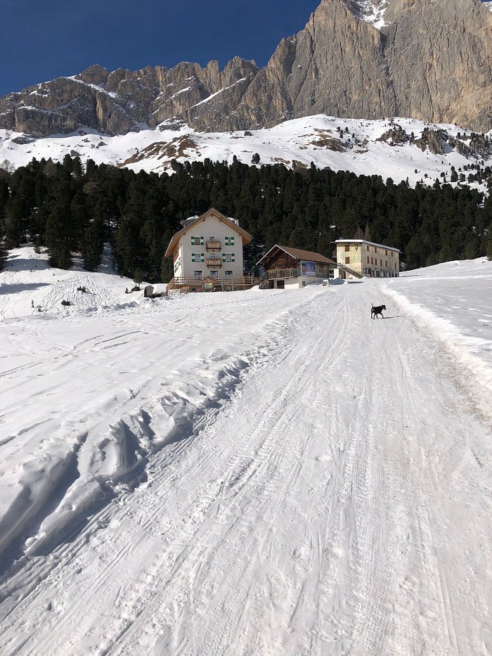 Girovagando  Una Perla Dolomitica: Il Rifugio Stella Alpina Spiz Piaz.