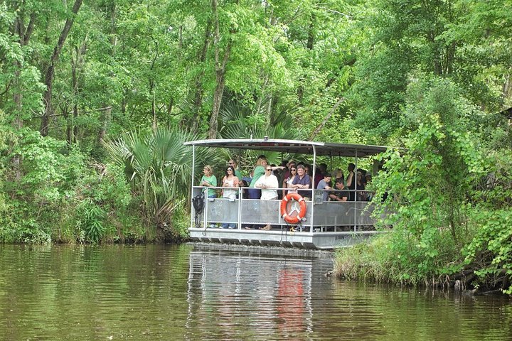 Jean lafitte swamp tour hot sale groupon