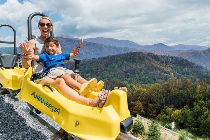 2024 Anakeesta Admission with Mountain Coaster Ride