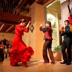 Zapatos de Mujer para Bailes Latinos y de Salón Roberto Garrudo