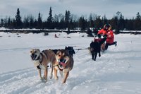 2023 Northern Lights and Huskies provided by Muktuk Adventures