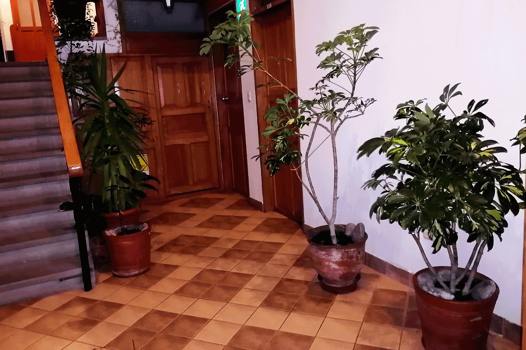 Hostal Resbalosa by null