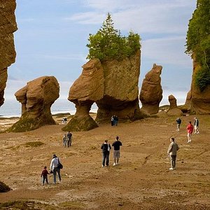 shediac bay cruises for sale