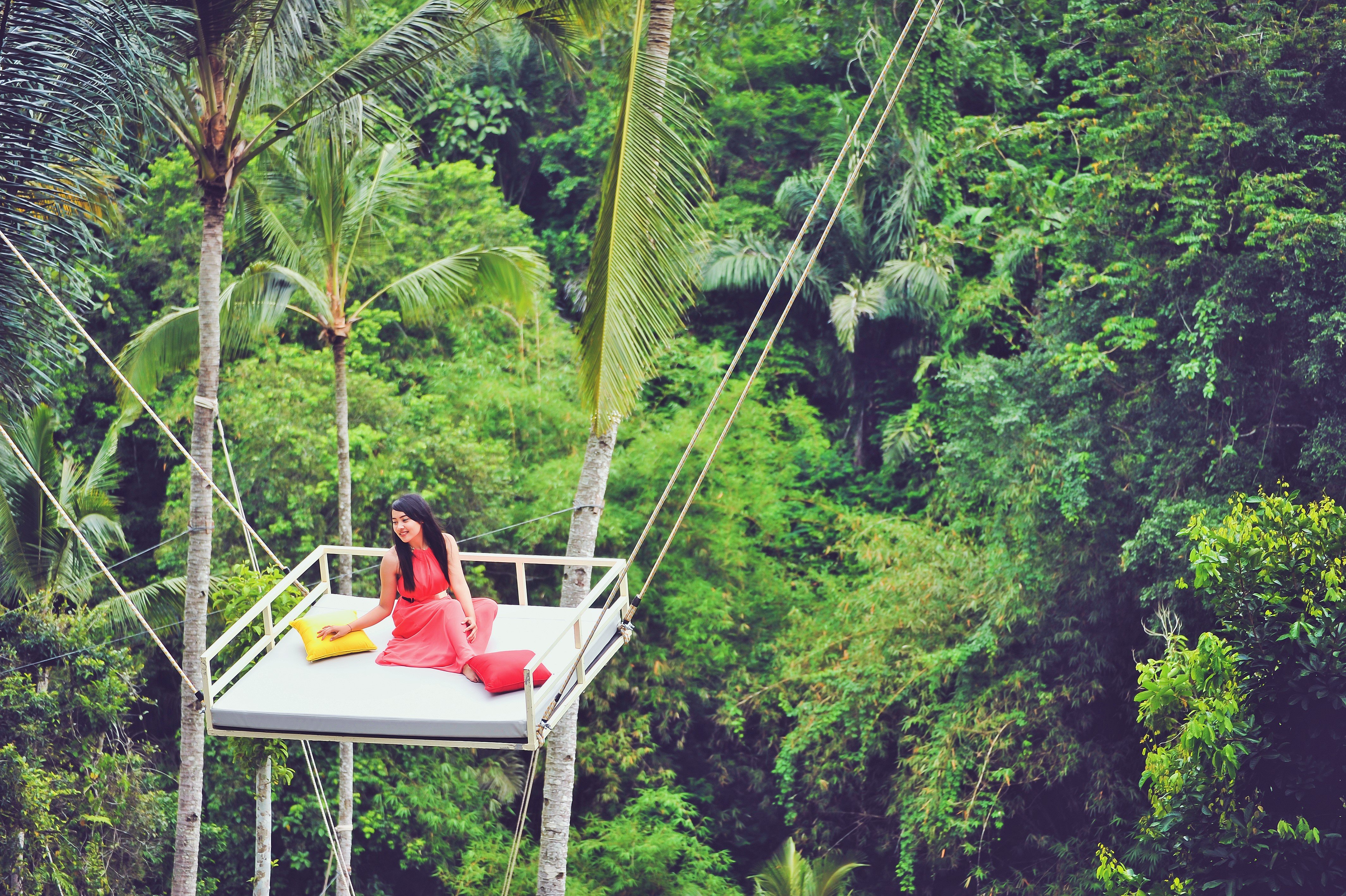 Rainforest swing store