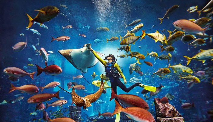 Thematic Aquarium Chambers