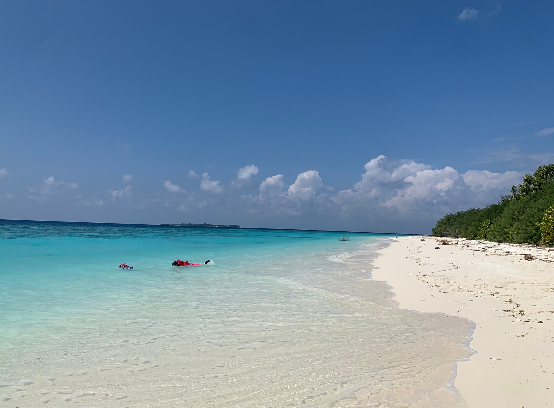 Maldives Oceanic Village by null