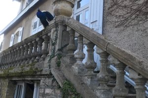 Chambre et suite