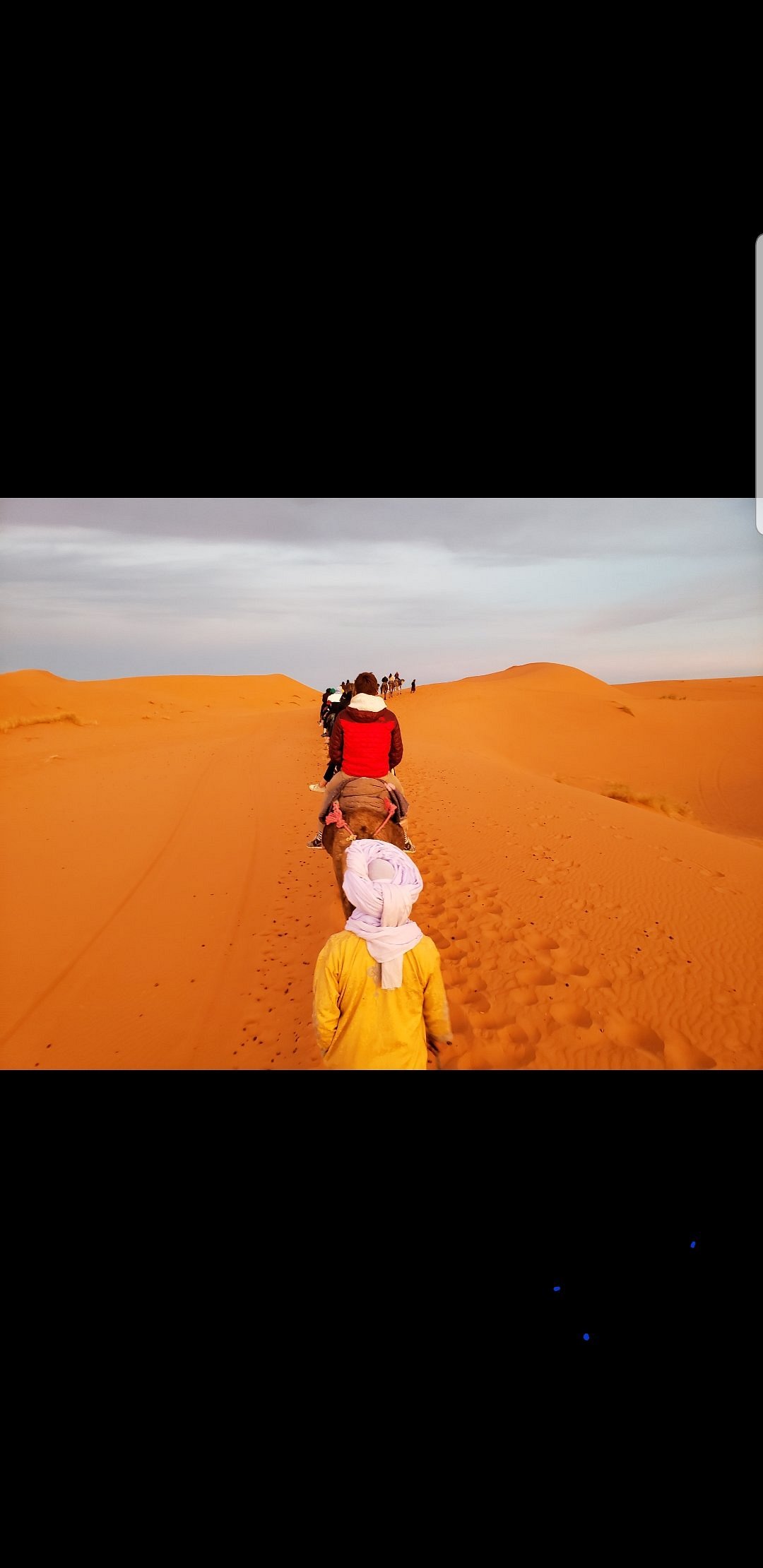 2024 Casablanca Deactivated Tripadvisor 2024-casablanca-deactivated-tripadvisor