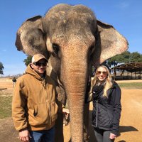 Hill Country Elephant Reserve (fredericksburg) - All You Need To Know 