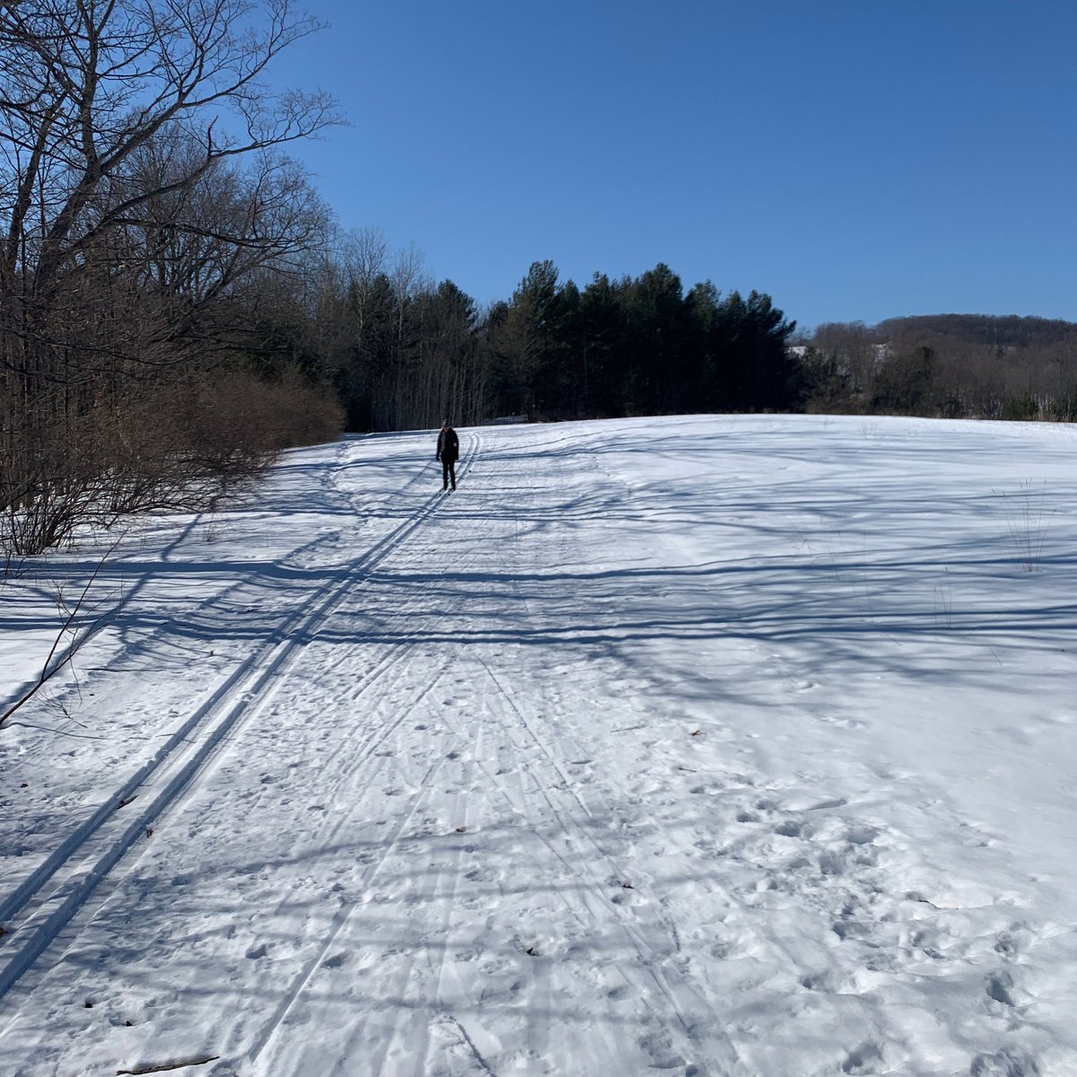 Hickory Hills Ski Area (Traverse City) All You Need to Know