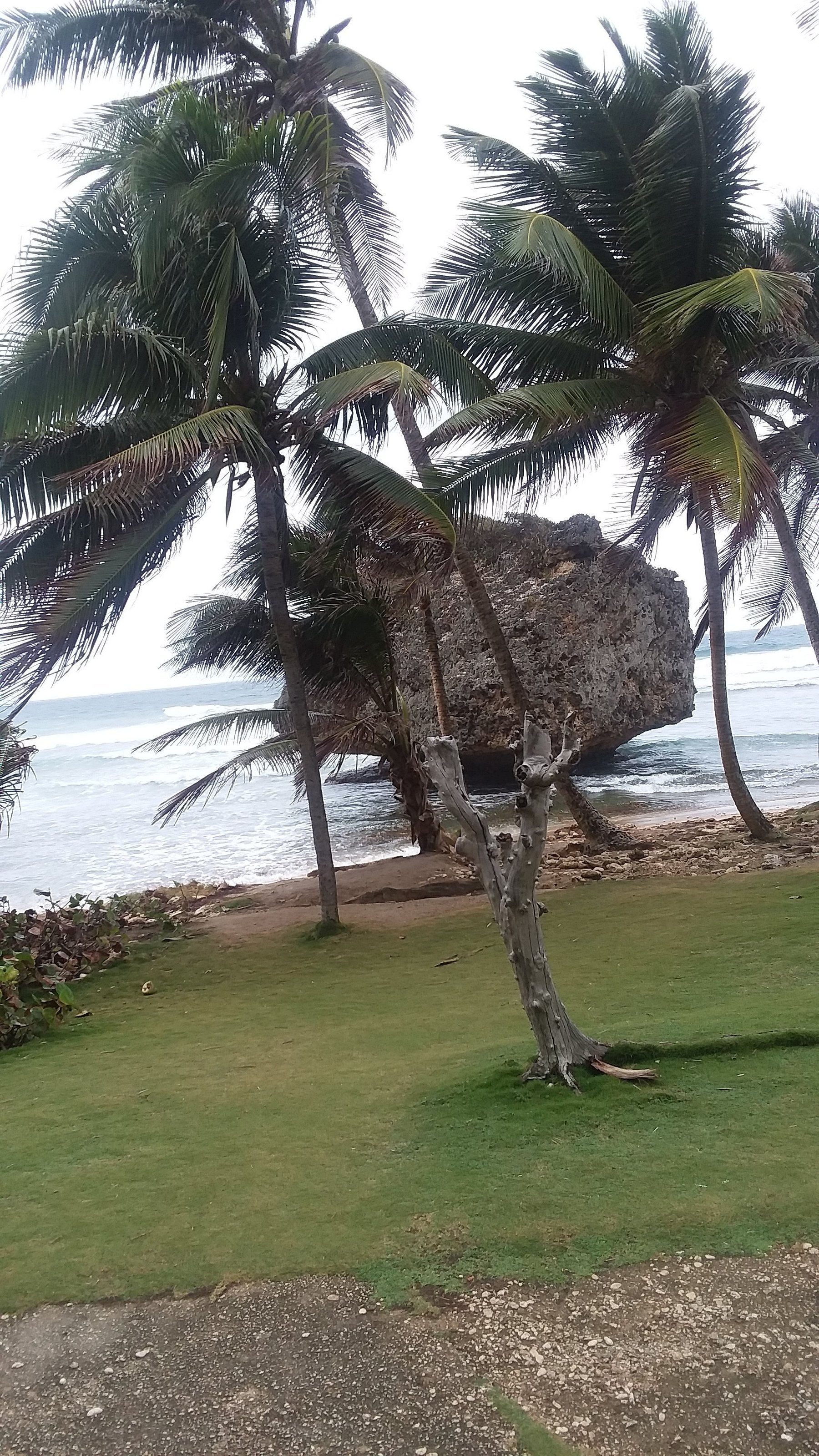 360 island tour barbados