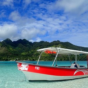 EXPLORACIÓN DE ARRECIFES en Moorea: Excursión de buceo de superficie con propulsor  acuático 2024