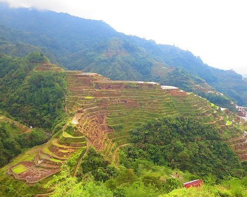 tour banaue rice terraces