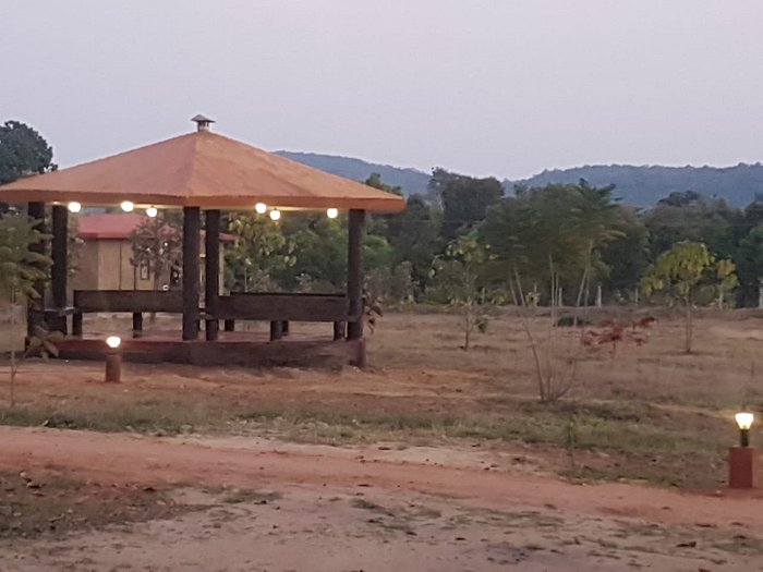 blue lotus safari bandhavgarh