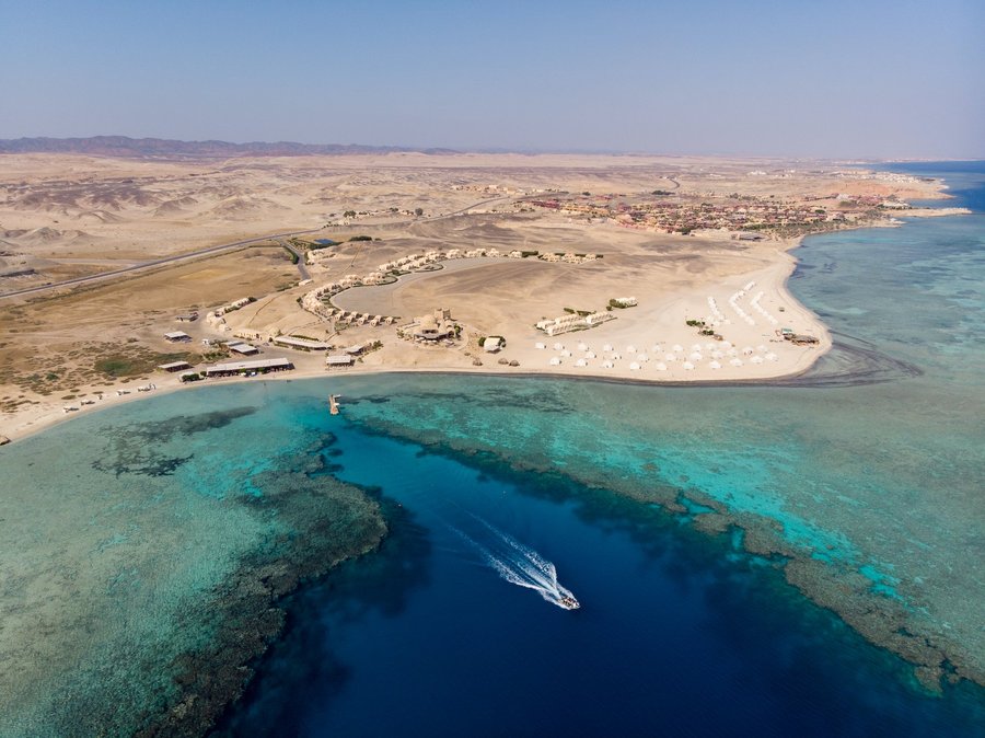 MARSA SHAGRA: Bewertungen, Fotos & Preisvergleich (Marsa Alam, Ägypten