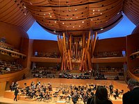 The Top 10 Must Sees & Hidden Gems of Walt Disney Concert Hall