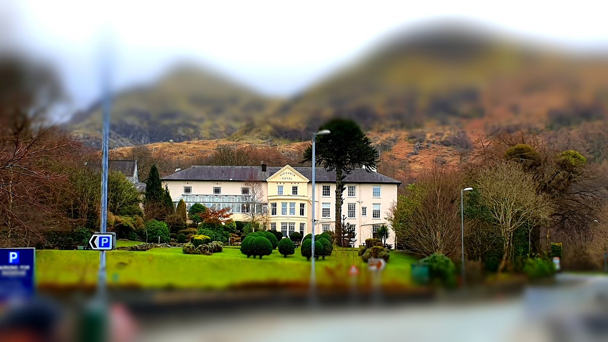 The Royal Victoria Hotel Snowdonia Updated 2024 Prices Reviews And Photos 