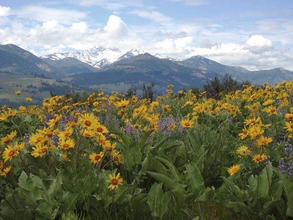 Heckendorn Park image