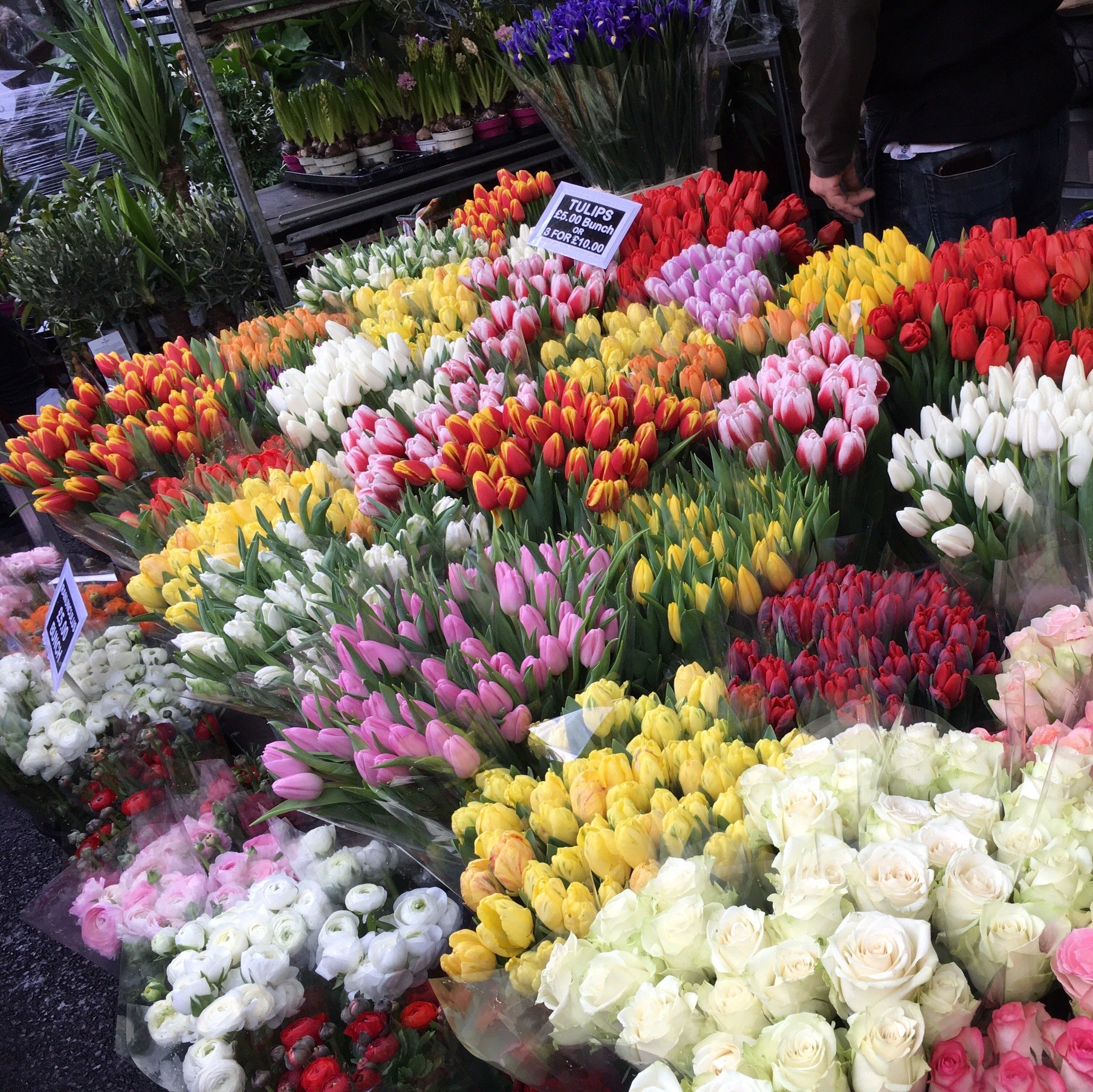 Columbia Road Flower Market Tripadvisor   Photo0jpg 