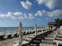Kool Beach Club (Playa del Carmen) - All You Need to Know BEFORE You Go
