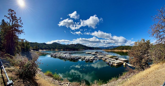 are dogs allowed at lake shasta