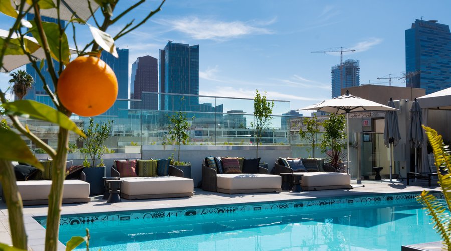 Rooftop pool deck with downtown skyline views