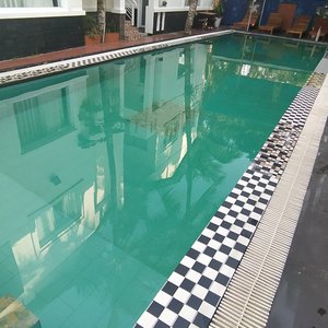 Green swamp pool