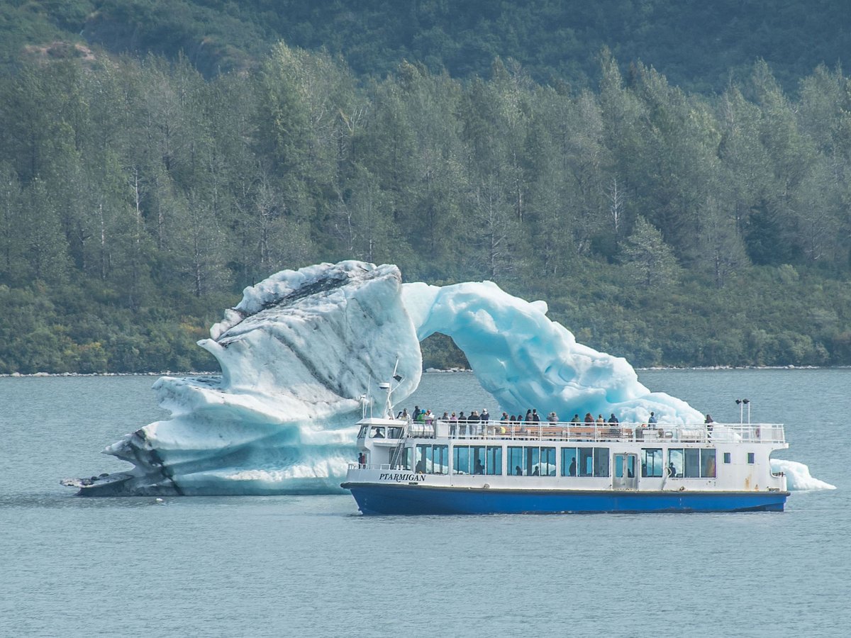 907 tours anchorage day tours