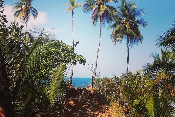 2024 Hike In The Gandoca-Manzanillo Refuge