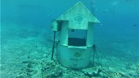 Underwater Post Office (Port Vila, Vanuatu) - Đánh giá - Tripadvisor