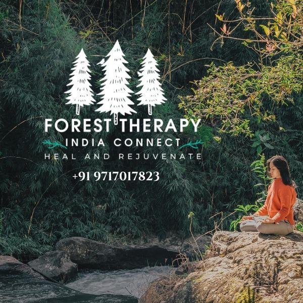 Forest Therapy India - Pangot - Forest Therapy India의 리뷰 - 트립어드바이저