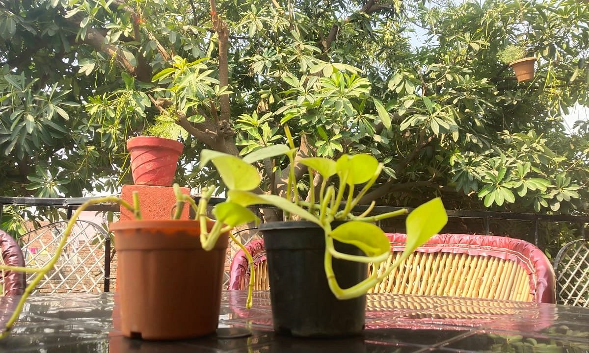 KISHAN HOME STAY MATHURA Prices Specialty Hotel Reviews (India) KISHAN HOME STAY MATHURA Prices Specialty Hotel Reviews (India)