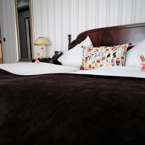 Exquisit Hotel in Munich, image may contain: Cushion, Home Decor, Bed, Pillow