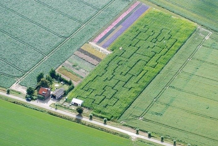 Maisdoolhof De Zuidmoer image