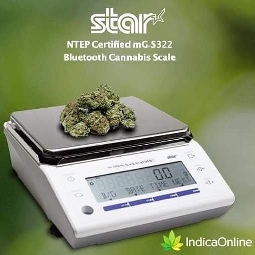 Top 5 Best Scales for Marijuana Dispensaries - IndicaOnline