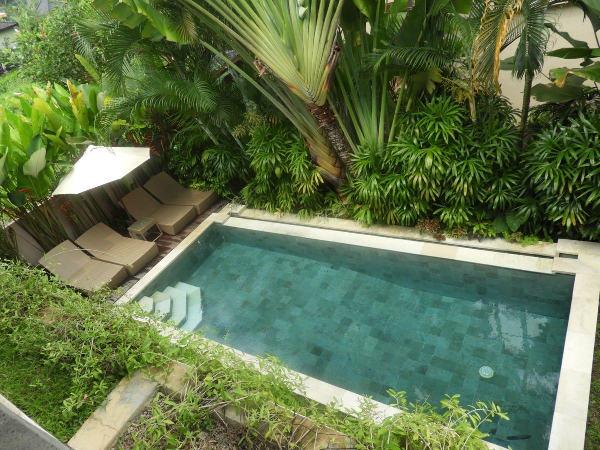 SATORI VILLAS BALI - Updated 2024 Prices & Hotel Reviews (Ubud)