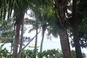 Pool & Beach