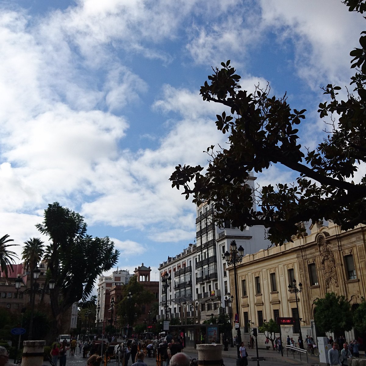 File:Drapeau France Avenida Constitución - Séville (ES61) - 2023-04-25 -  1.jpg - Wikimedia Commons