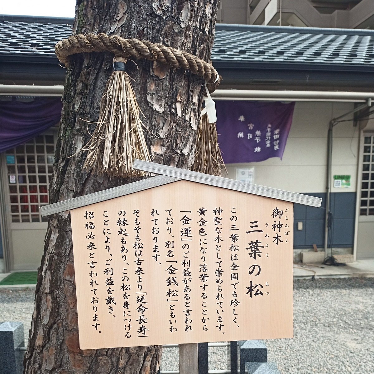 Wakeoe Shrine Nagoya All You Need To Know Before You Go