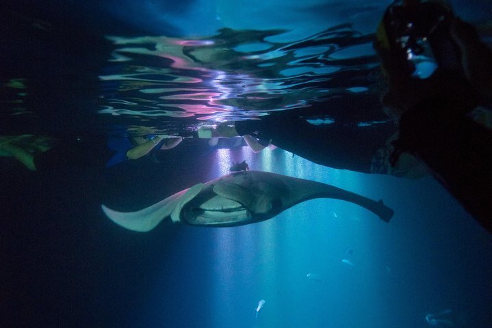 4 Days 3 Nights Manta Ray Adventure