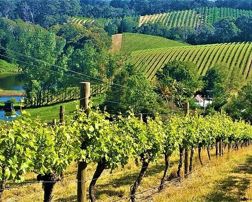 adelaide hills wine tours tripadvisor