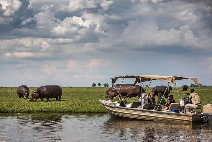 3 Hours Chobe River Game Cruise Kasane Botswana