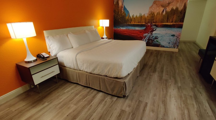 Single King Room