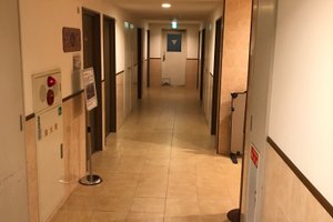 旅行者の写真